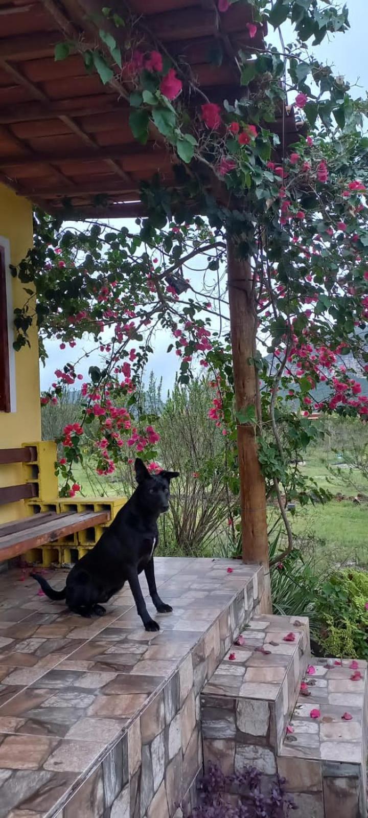 Serra Aquarela Chalet *